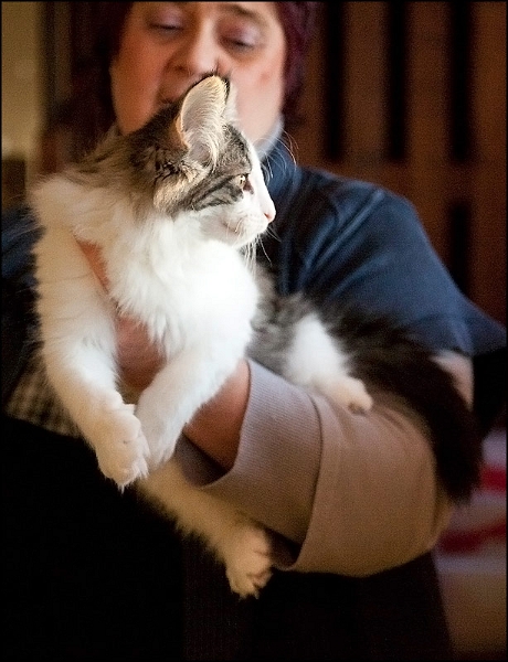 Eden de Talmanis 1.jpg - Eden de Talmanis